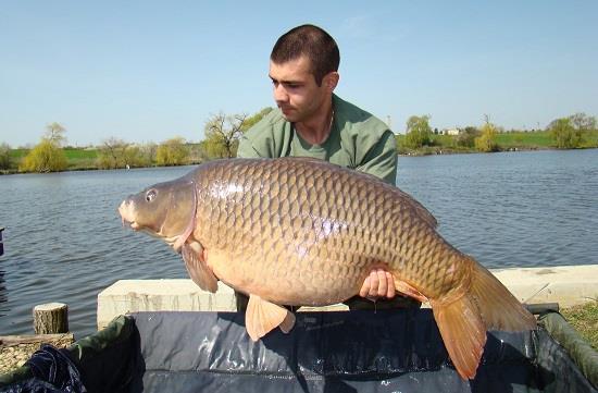 OFICIAL Cel mai mare crap prins in concurs pe 2016!